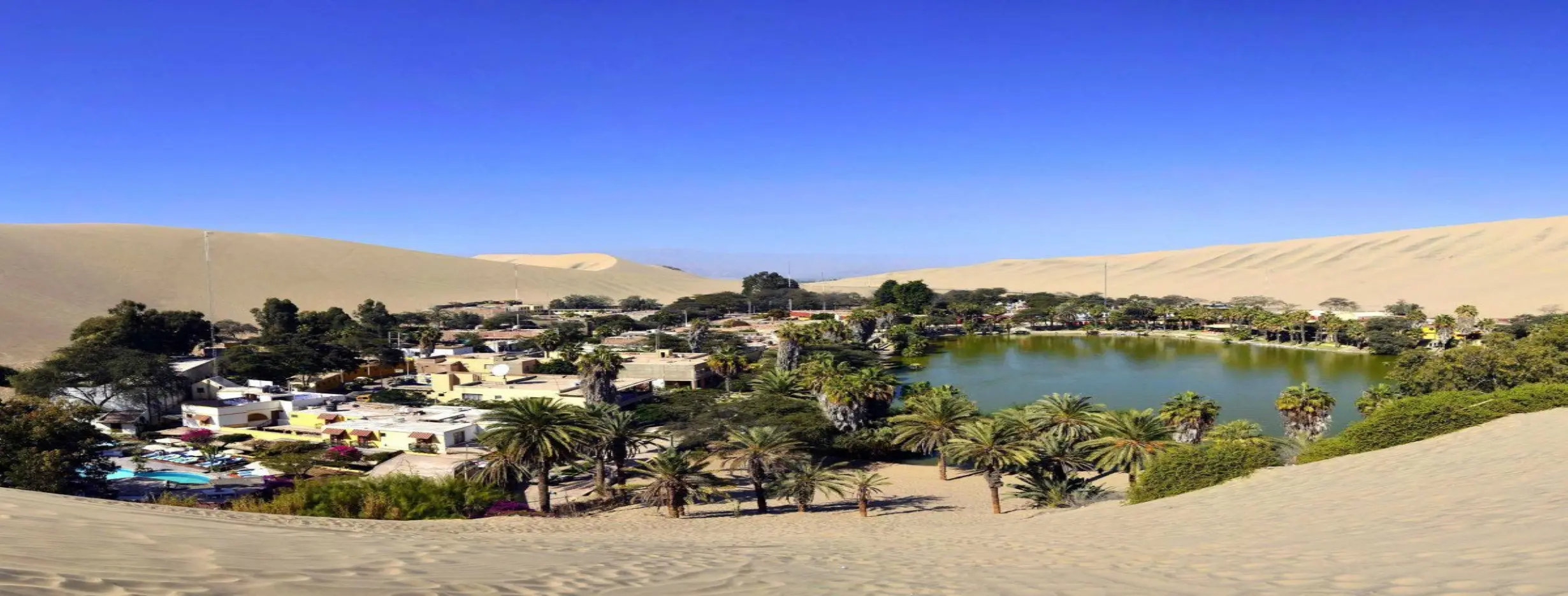 Image for Cultural Oasis